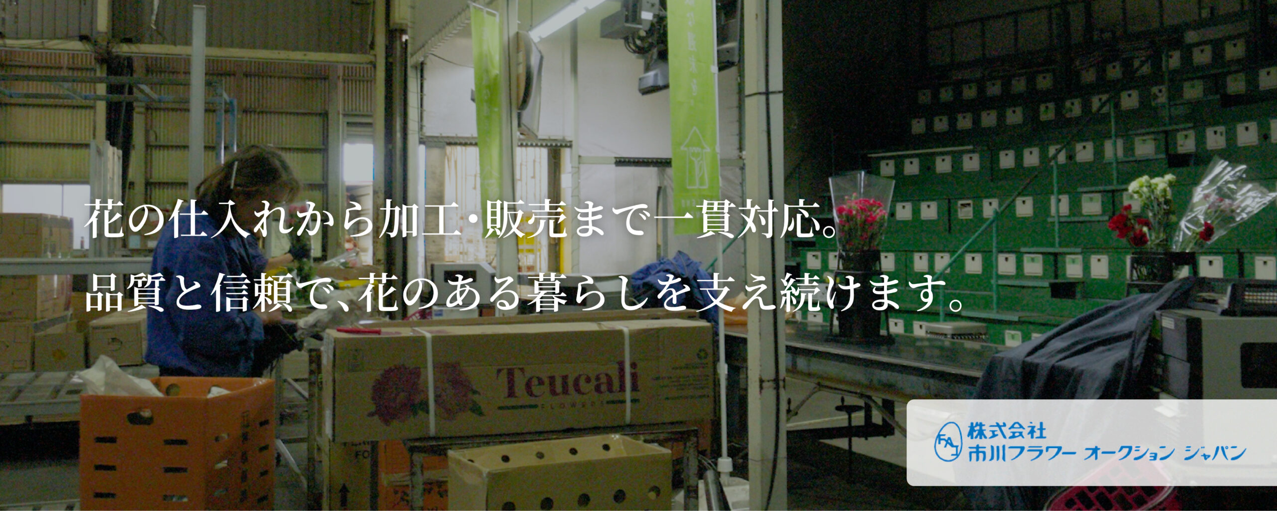 株式会社市川フラワーオークションジャパン